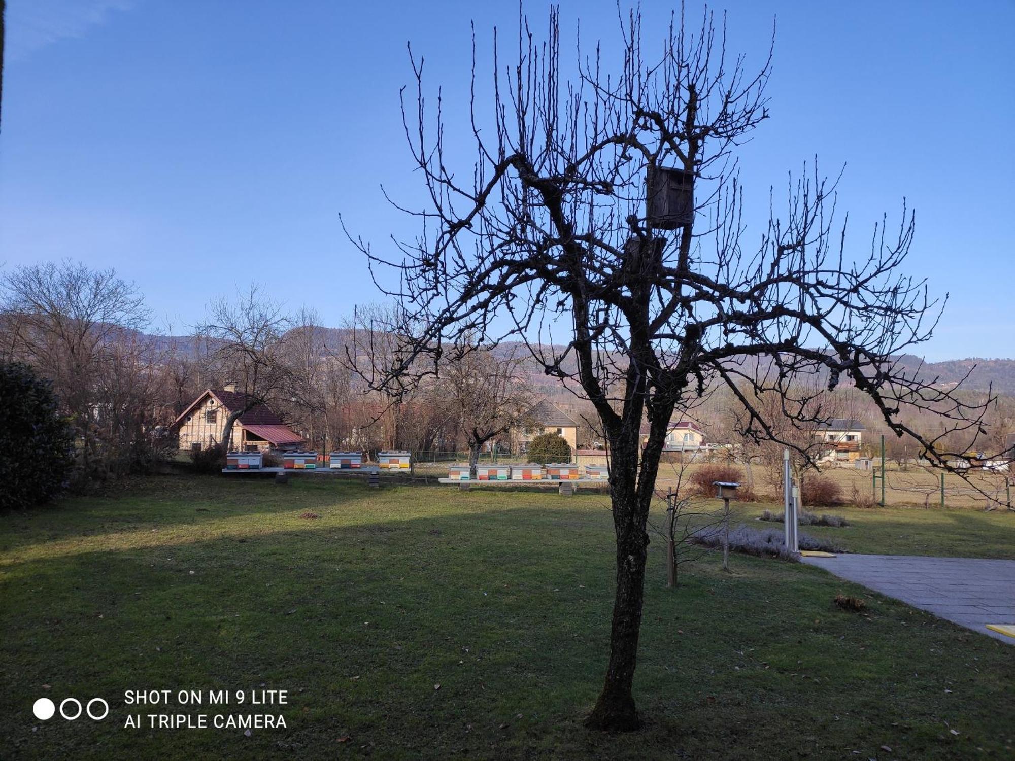 Nice Small House In Beautiful Carinthia Feistritz im Rosental 외부 사진